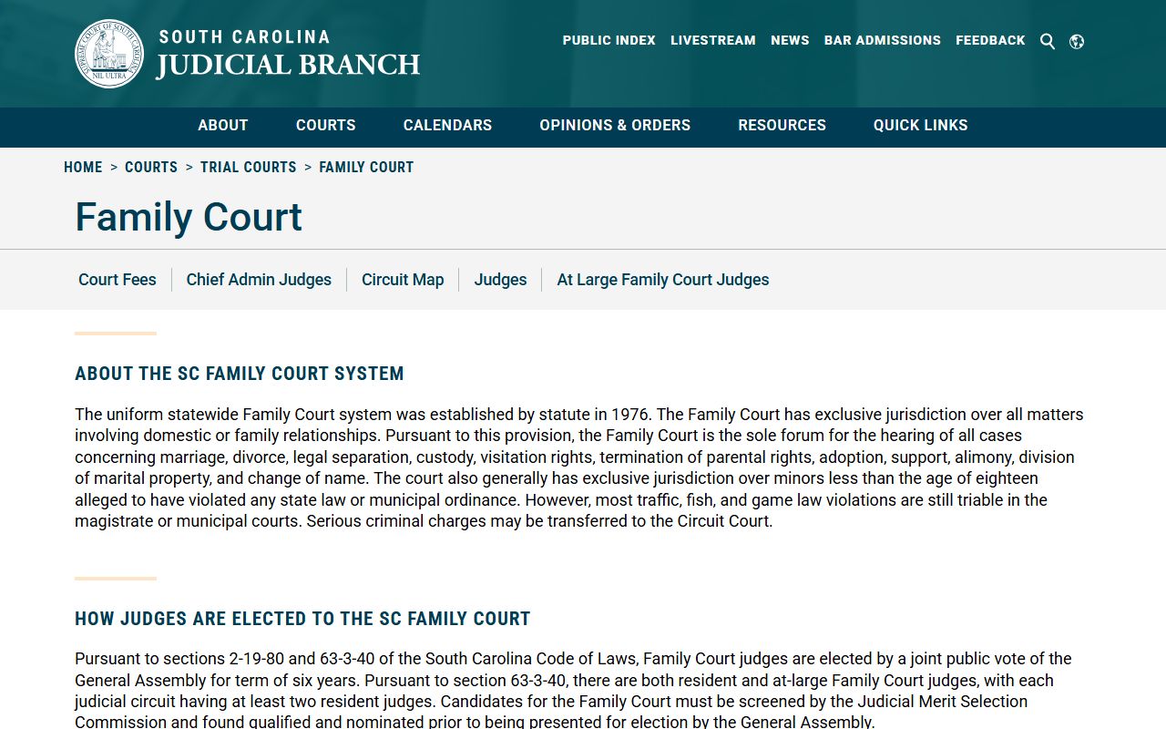 South Carolina Family Court information page separate from civil court records